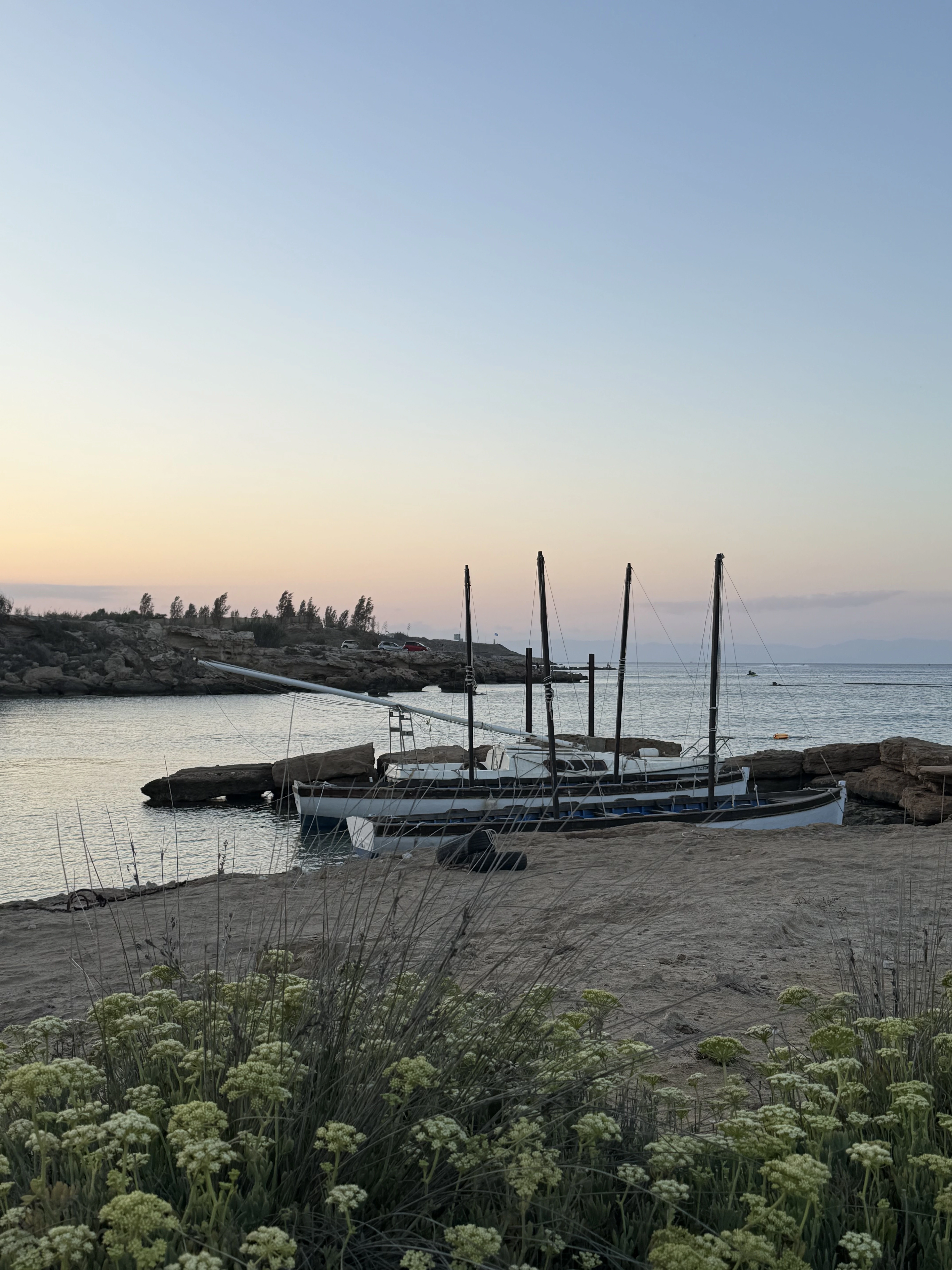 Traditional fishing boats moored in a Cypriot harbour at sunset.
